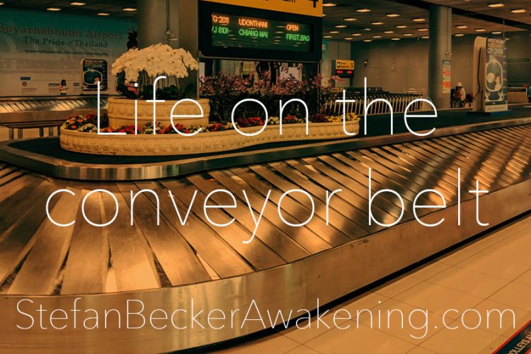 Life on the conveyor belt