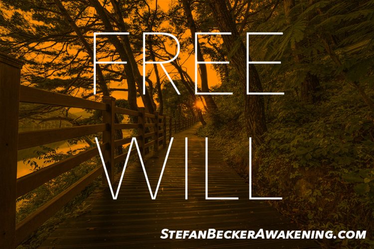 Free Will - Stefan Becker Awakening