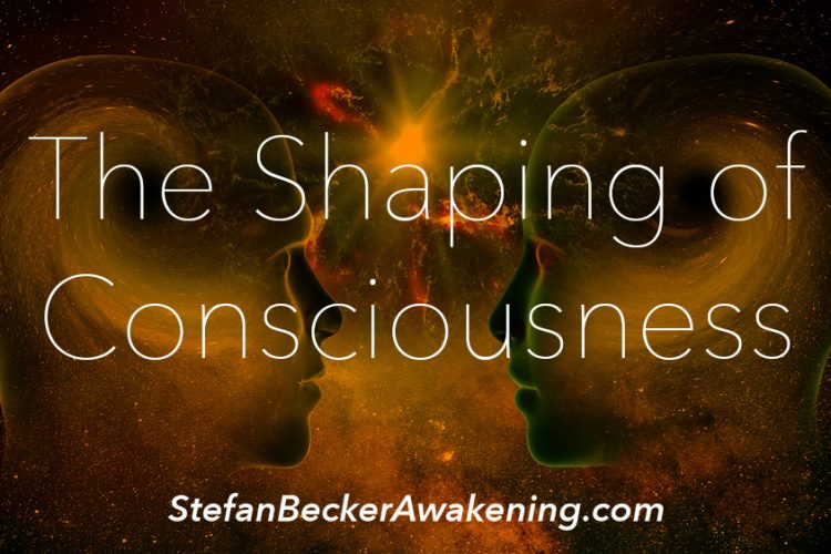 The Shaping of Consciousness